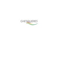 Ghesquieres logo - Similar company to Chrysa'Lead