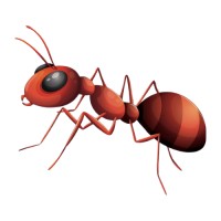 AntForce Innovation logo - Similar company to Express Softech