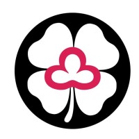 Fagligt Selskab for Diabetessygeplejersker logo - Similar company to Km Connex