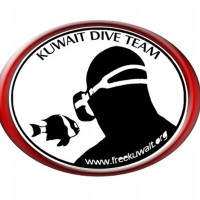 Kuwait Dive Team logo - Similar company to Hydro Oasis