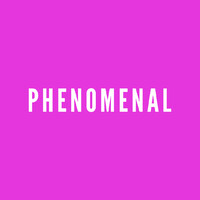 Phenomenal Media logo - Similar company to Reductress