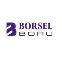 Borsel Boru logo - Similar company to Beta System Engineering Fire And Gas Ind.Trade.Co.Ltd.