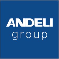 Andeli Group Co., Ltd. logo - Similar company to Sassin