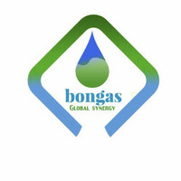 BONGAS logo - Similar company to Changeroom Ltd