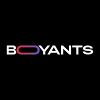 BOYANTS logo - Similar company to Zero Damage Llc