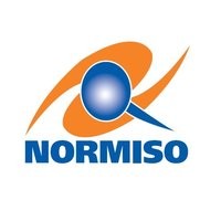 NORMISO logo - Similar company to Llc Normiso