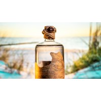 Navis Gin logo - Similar company to Uryde