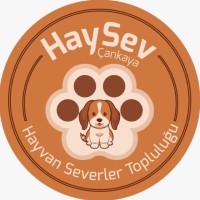 Çankaya Üniversitesi Hayvanseverler Topluluğu logo - Similar company to Doğa Ve Hayvanseverler Derneği - Dohas