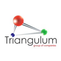 Triangulum Group of Companies logo - Similar company to Camelendar