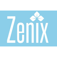 Zenix logo - Similar company to Zenix Analytics Inc