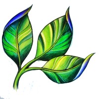 Marmelos Technologies pvt ltd logo - Similar company to Surmount Softech Soln Pvt. Ltd.