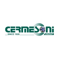 Cermesoni Group logo - Similar company to Vector Spa