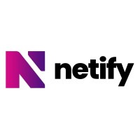 Netify logo - Similar company to Netify Solutions