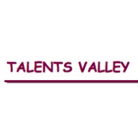 TALENTS VALLEY logo - Similar company to Samo Informatique