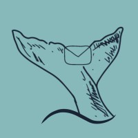 BigBlueMail | Klaviyo Specialists logo - Similar company to Bs&Co