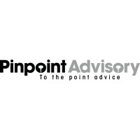 Pinpoint Advisory logo - Similar company to Nal Associates