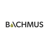 BACHMUS logo - Similar company to Engol Group (Pty) Ltd