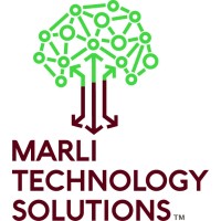 Marli Technology Solutions logo - Similar company to Soladefy