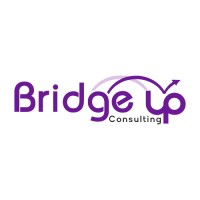Bridge Up Consulting logo - Similar company to Exportune Pcc