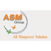 ASM Group Services logo - Similar company to Humantron Group