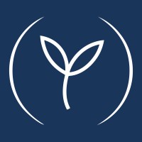 Tilia Therapy logo - Similar company to Harbour Software