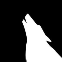 Wolves Agency logo - Similar company to Hudson Born