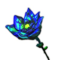 Flower Studio