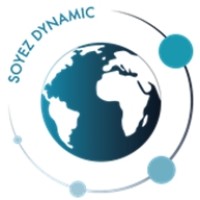 DYNAMIC Audio® logo - Similar company to Optimum Cit