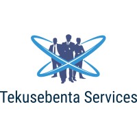 Tekusebenta Services logo - Similar company to Idk Digital
