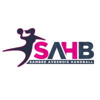 Sambre Avesnois Handball logo - Similar company to Sateba Prefarails