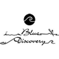 Blue Discovery logo - Similar company to Aura