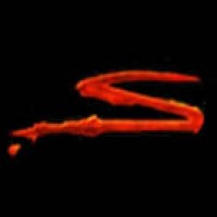 Savage Entertainment, Llc
