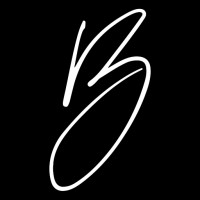 Brinks Media Company - Real Estate Photography logo - Similar company to Far Out Images - Austin Real Estate Photography