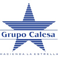 Grupo Calesa logo - Similar company to Psed S.A