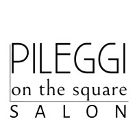 Pileggi on the Square Salon logo - Similar company to Optia Group