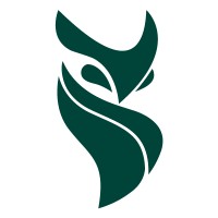 Seraf logo - Similar company to X