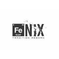 Fenix Automotive logo - Similar company to Gates Automotive