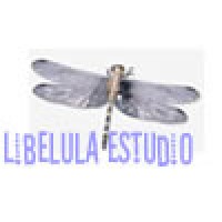 Libelula Estudio logo - Similar company to Flyon Marketing Digital