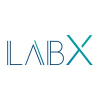 LabX by Lab4Net SARL logo - Similar company to Active Profile - Expert En Placement Ti