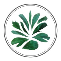 Emerald Earth Foundation