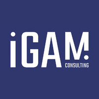 iGAM Consulting logo - Similar company to Smart Broker Solutions