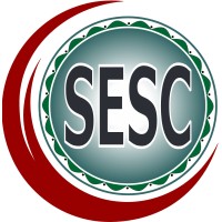 Space Engineering Services & Consultant logo - Similar company to Electro Mechanical Engineering Solutions