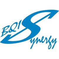Business Quality Improvement Synergy logo - Similar company to Precise Process Consulting Llc