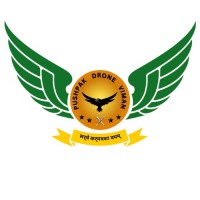 PUSHPAK DRONE VIMAN Pvt. Ltd. logo - Similar company to Ivegtech