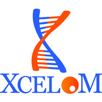 Xcelom Limited logo - Similar company to Epimedtech Global