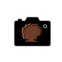 Black Women Photographers logo - Similar company to The Luupe