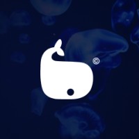 Blauw Studio