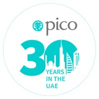 Pico EMEA logo - Similar company to Buildup
