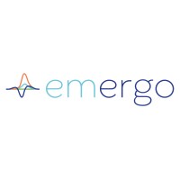 EMergo logo - Similar company to Mquadro S.R.L.