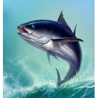 Big Tuna Fishing logo - Similar company to Quantitative Finance Lab